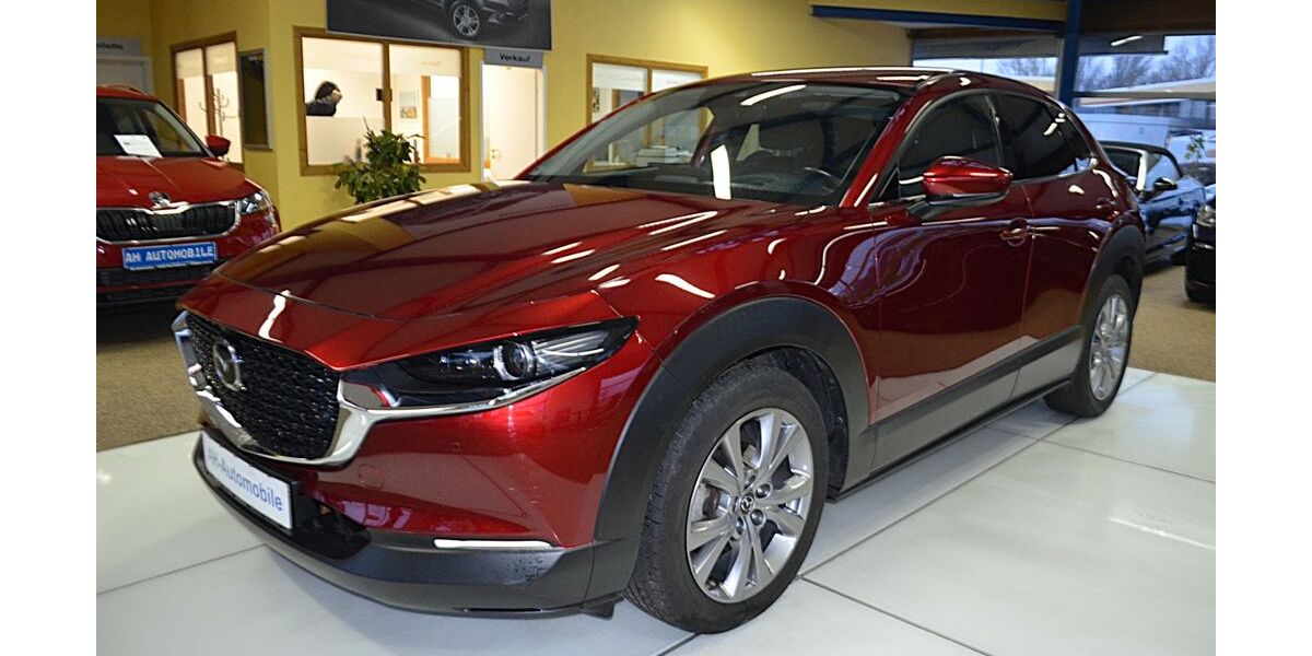 Mazda CX-30 24.000 km 18.880 &euro; Bad Doberan 18209
