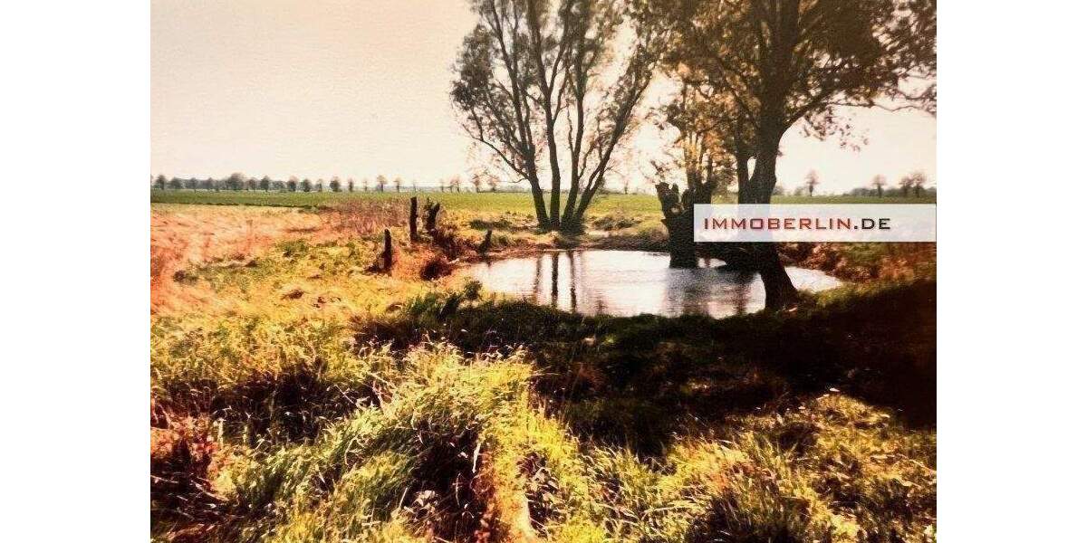 Grundstück Marlow Neu Guthendorf - 25.000&euro; | Angebot:26170541