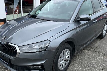 Skoda Fabia 19.058 km 18.490 € Tessin 18195