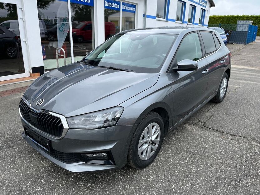 Skoda Fabia 19.058 km 18.490 € Tessin 18195