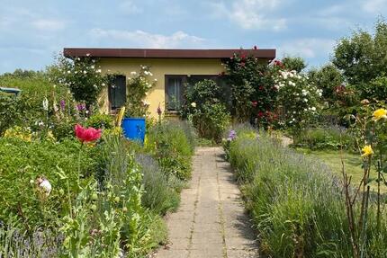 Grundstück Papendorf - 2.500&euro; | Angebot:26443256