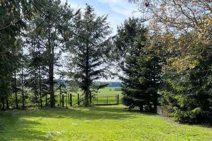 Grundstück zu verkaufen in Dettmannsdorf 69.500 € 1188 m² zimmer