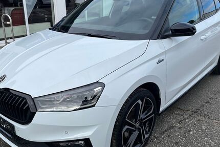 Skoda Fabia 17.185 km 19.990 € Tessin 18195
