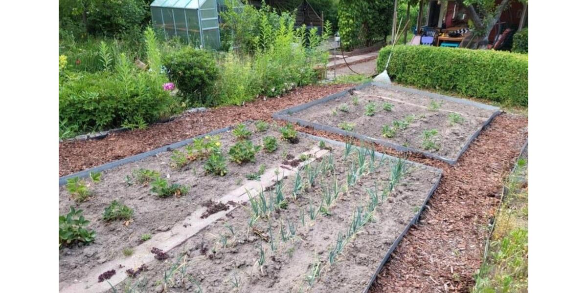 Grundstück Papendorf - 3.300&euro; | Angebot:25934519