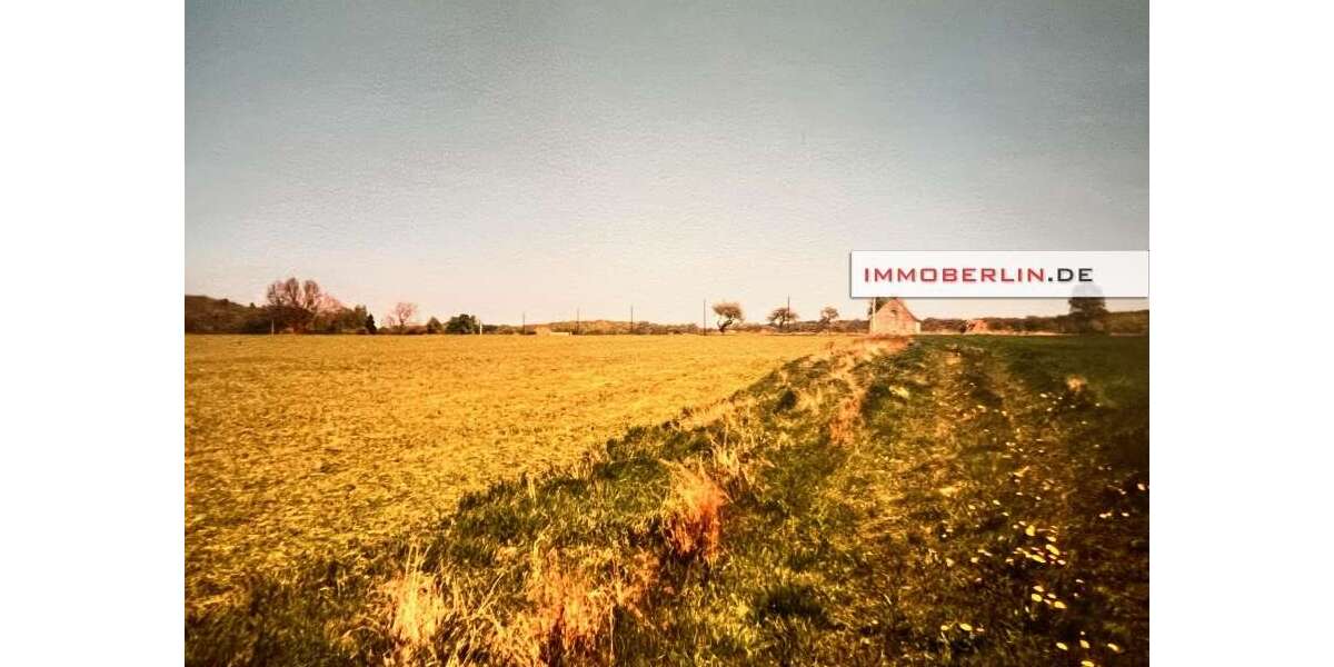 Grundstück Marlow - 25.000&euro; | Angebot:24830096