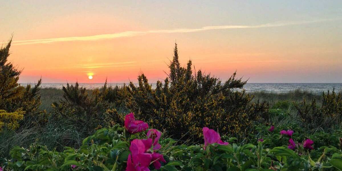 Grundstück Kühlungsborn - 399.000&euro; | Angebot:26105682