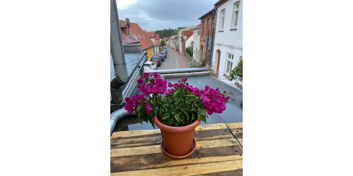 Einfamilienhaus Laage - 300.000&euro; | Angebot:26533337