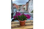 Einfamilienhaus Laage - 300.000&euro; | Angebot:26533337