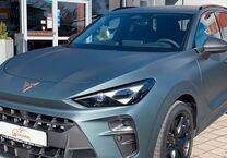 Gebrauchtwagen Cupra Terramar