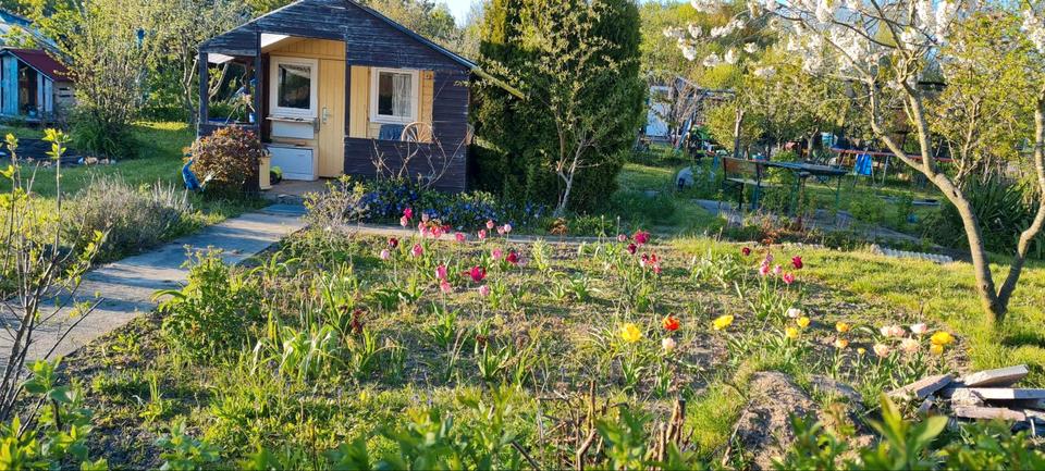 Grundstück Lambrechtshagen - 500&euro; | Angebot:26450896