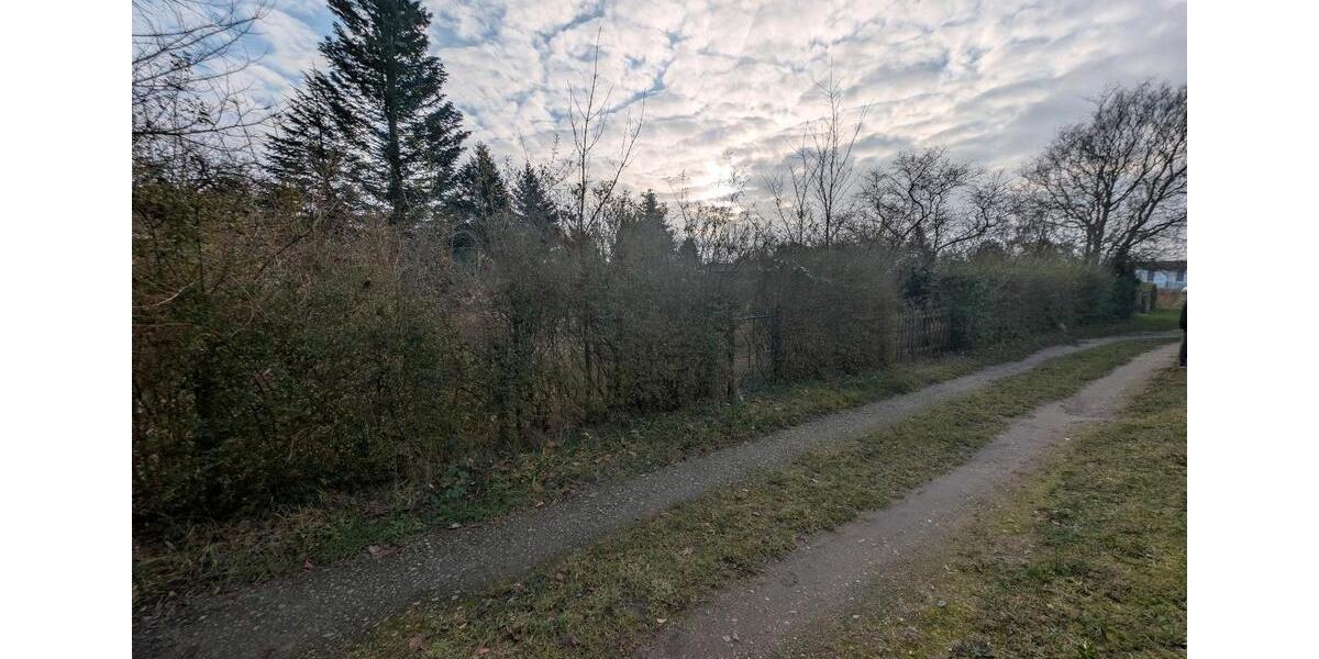 Grundstück Schwaan - 2.300&euro; | Angebot:24149260