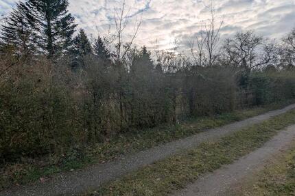 Idyllischer Garten in Schwaan abzugeben - Lohnnachweis Pflicht zimmer