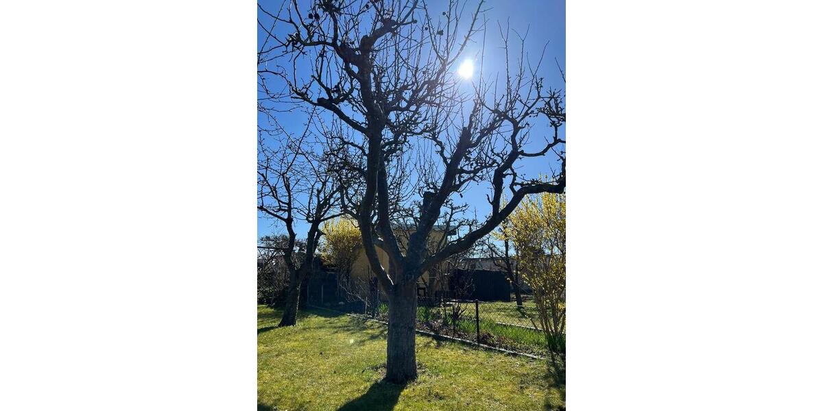 Grundstück Rostock Groß-Klein - 4.300&euro; | Angebot:26040245