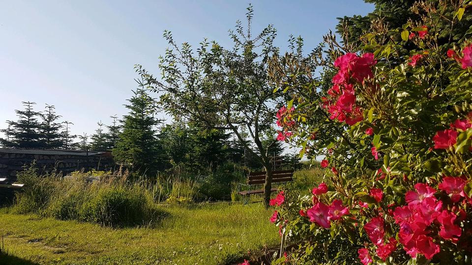 Reihenhaus Bentwisch - 4 Zimmer, 115 m&sup2;, 242.000&euro; | Angebot:26227831