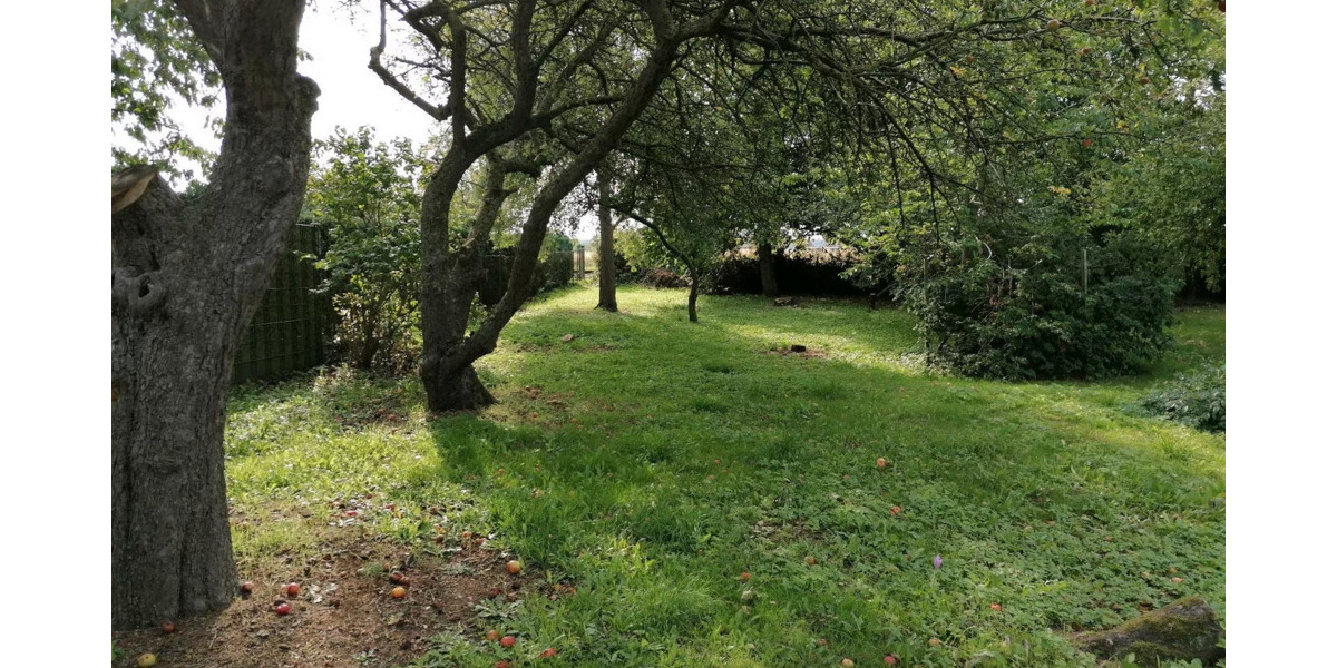 Idyllisches Baugrundstück in Kühlungsborn - Exklusiver vorderer Grundstücksbereich zimmer