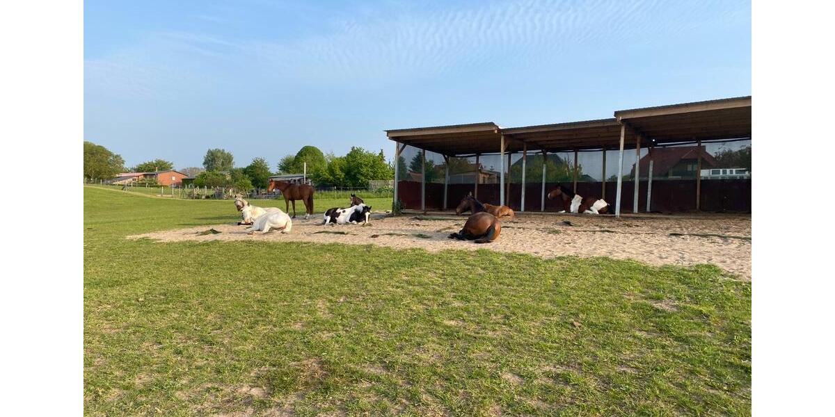 Bauernhaus, Landhaus Bützow - 650.000&euro; | Angebot:27026113