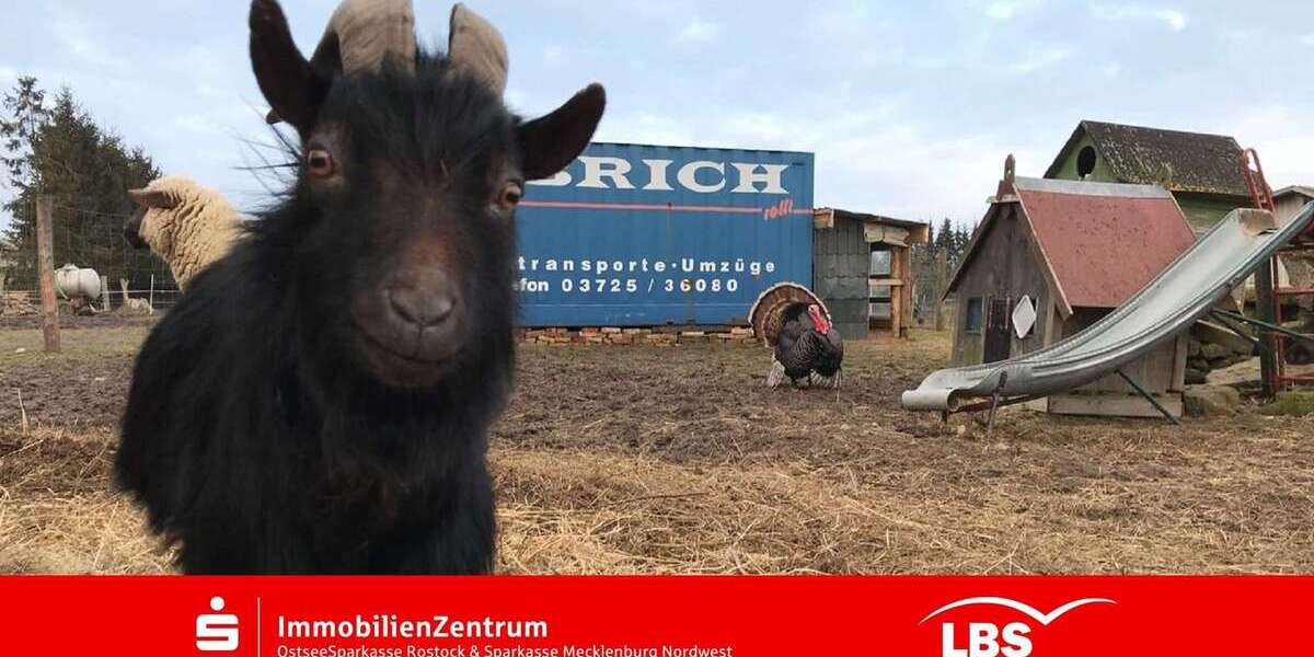 Einfamilienhaus Kröpelin - 8 Zimmer, 281 m&sup2;, 550.000&euro; | Angebot:25198840