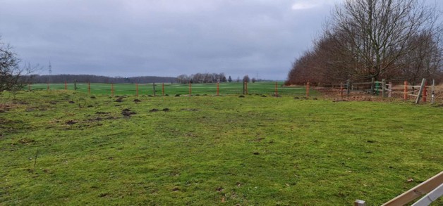 Ca 51400m2 Acker und Weideland nahe Rostock - Grundstück Thulendorf | Angebot:19800536