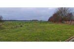 Ca 51400m2 Acker und Weideland nahe Rostock - Grundstück Thulendorf | Angebot:19800536
