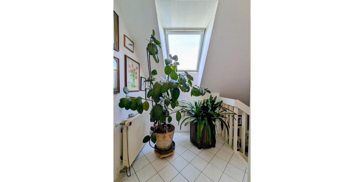 Einfamilienhaus Broderstorf - 379.000&euro; | Angebot:26913641