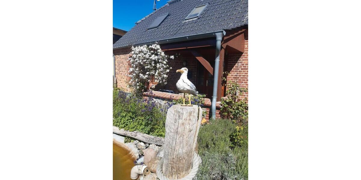 Erdgeschoßwohnung Ribnitz-Damgarten Damgarten - 2 Zimmer, 65 m&sup2;, 650&euro; | Angebot:27662692