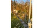 Grundstück Rostock Evershagen - 3.500&euro; | Angebot:26201747