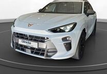 Gebrauchtwagen Cupra Terramar