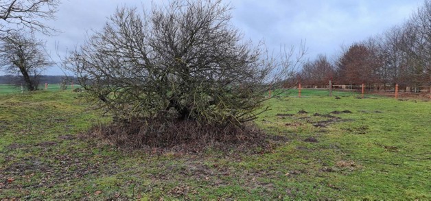 Ca 51400m2 Acker und Weideland nahe Rostock - Grundstück Thulendorf | Angebot:19800536