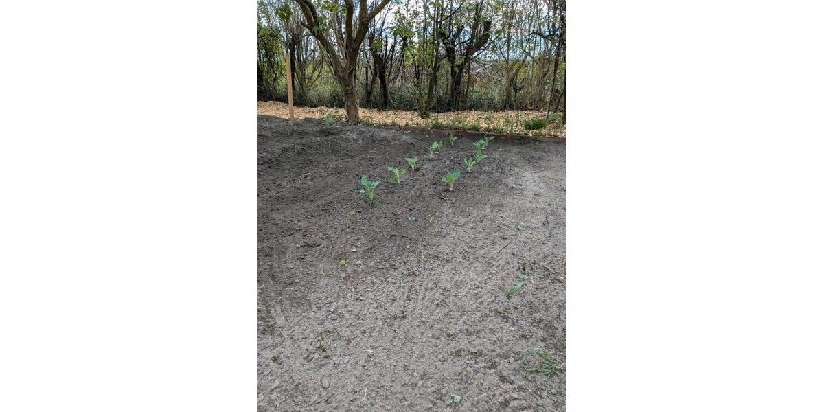 Grundstück Rostock Alt Bartelsdorf - 2.400&euro; | Angebot:26443257