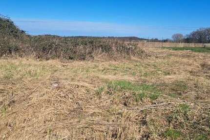 Grundstück zu verkaufen in Reddelich 125.000 € 500 m²