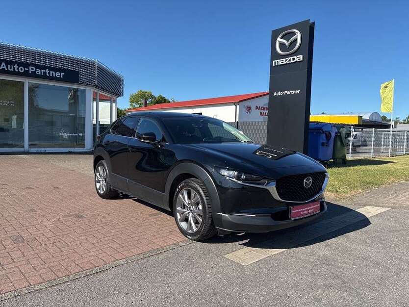 CX-30