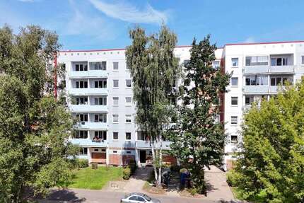Wohnung zum Mieten in Rostock 433 € 57.7 m² 3 zimmer