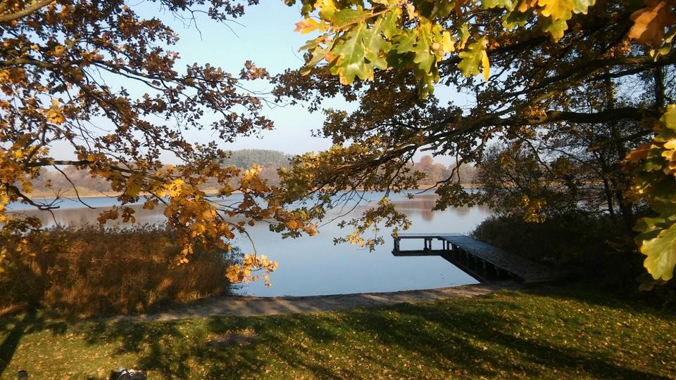 Einfamilienhaus Dummerstorf - 5 Zimmer, 176 m&sup2;, 395.000&euro; | Angebot:26096912