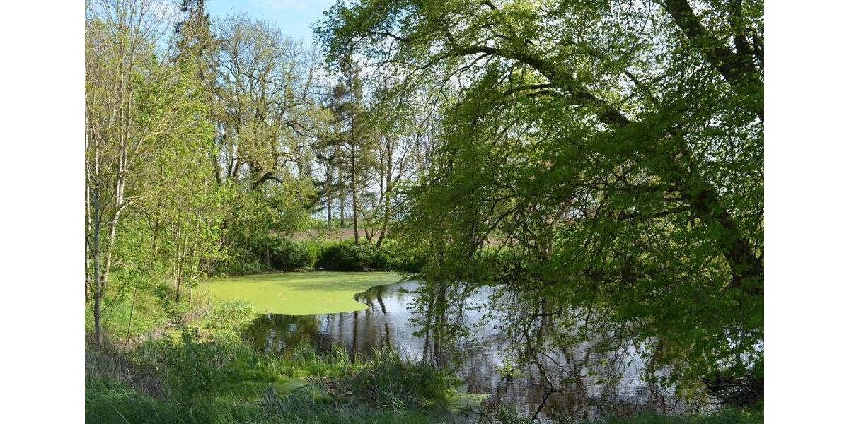 Grundstück Marlow - 399&euro; | Angebot:26549454