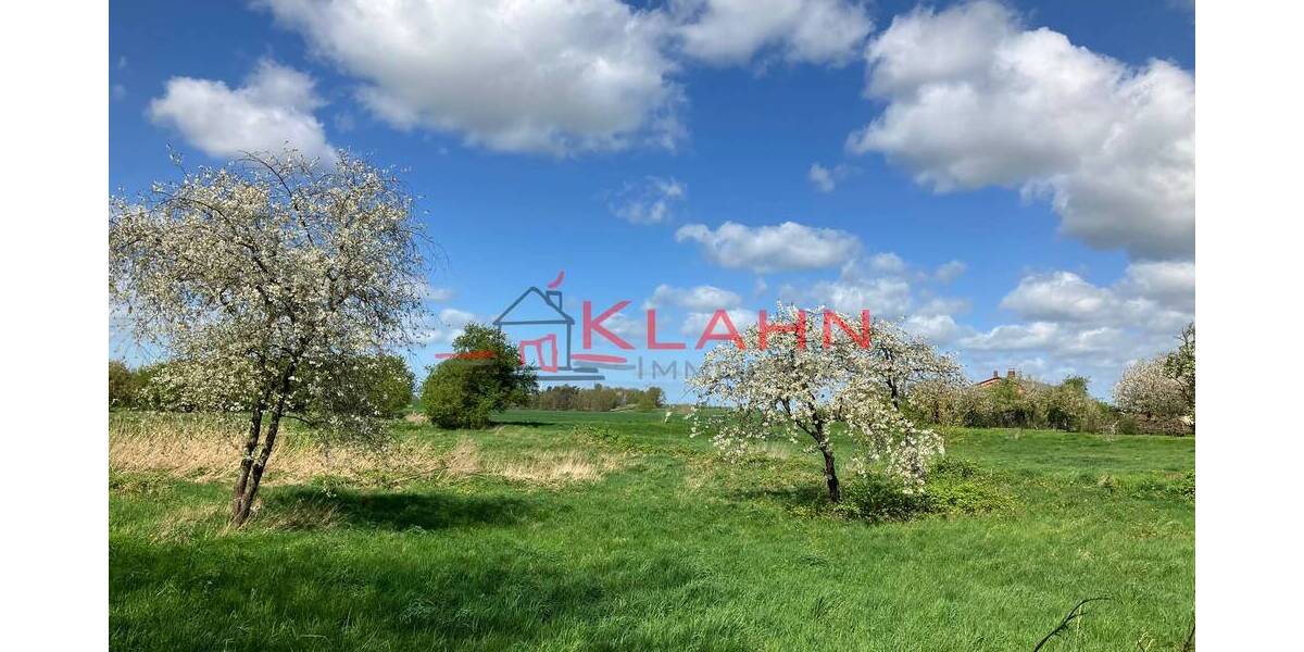 Grundstück Zepelin / Oettelin Zepelin - 300.000&euro; | Angebot:25663578