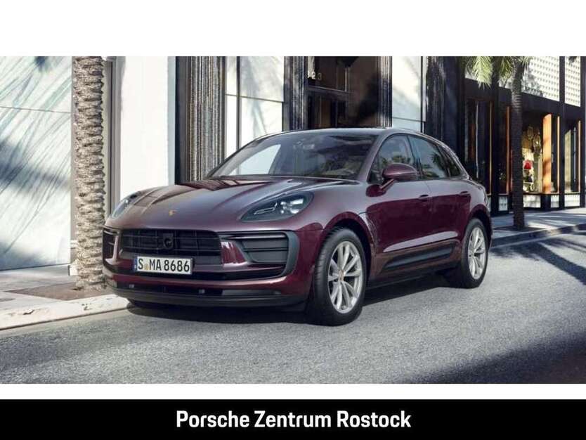 Macan