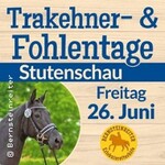 Stutenschau der Ostsee-Trakehner