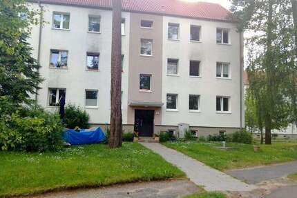 Wohnung zum Mieten in Rostock 423,50 € 50.17 m²
