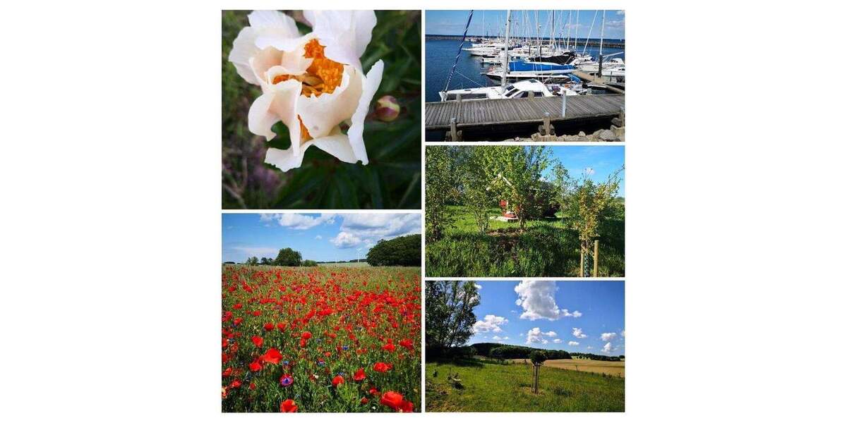 Grundstück Satow Miekenhagen - 320.000&euro; | Angebot:25716425