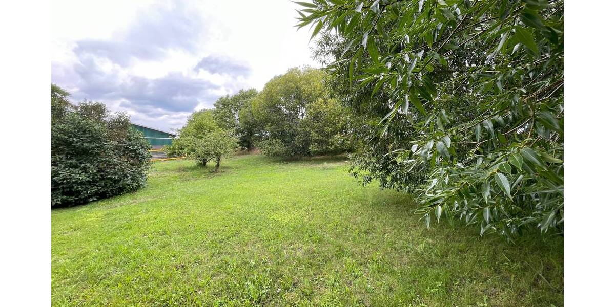 Grundstück Steffenshagen - 280.000&euro; | Angebot:19300209