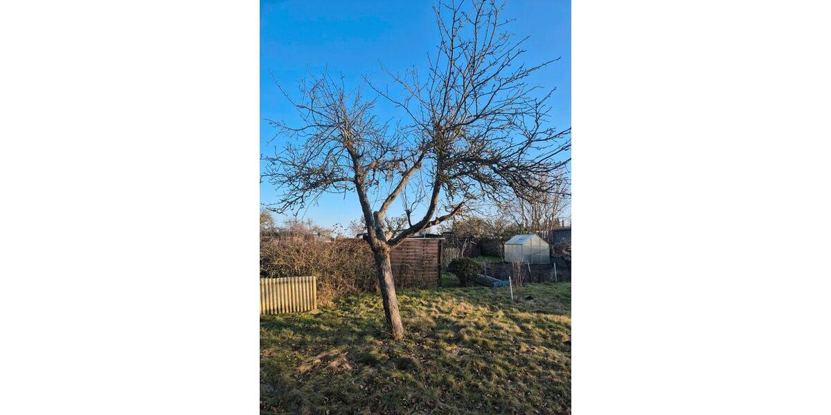 Grundstück Bad Doberan - 400&euro; | Angebot:26623997