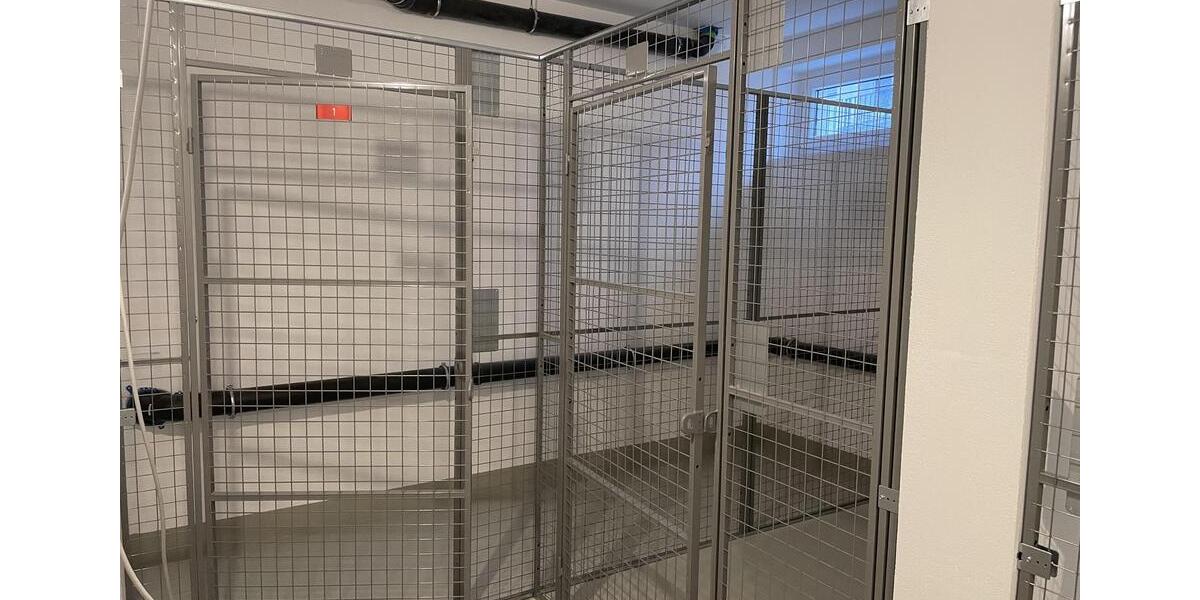 Erdgeschoßwohnung Bentwisch - 2 Zimmer, 62 m&sup2;, 900&euro; | Angebot:25270741