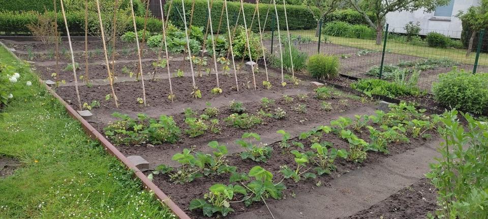 Einfamilienhaus Rostock Alt Bartelsdorf - 2 Zimmer, 36 m&sup2;, 11.900&euro; | Angebot:24582660