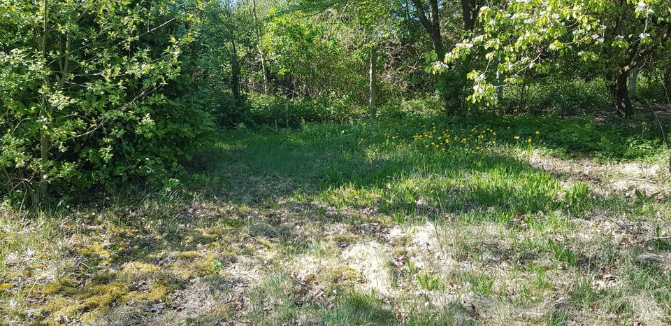 Grundstück Rostock Gehlsdorf - 200&euro; | Angebot:26677702