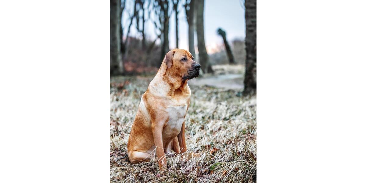 Ferienimmobilie Dummerstorf - 80&euro; | Angebot:25765528