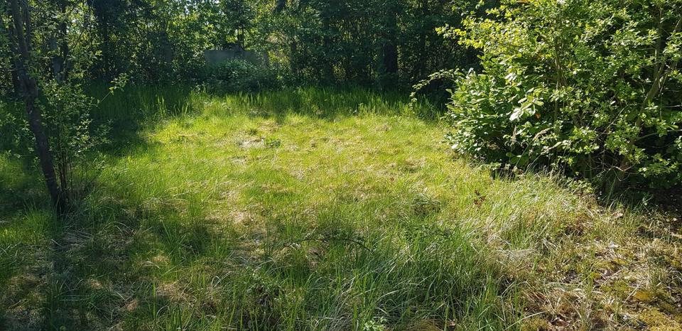 Grundstück Rostock Gehlsdorf - 200&euro; | Angebot:26677702
