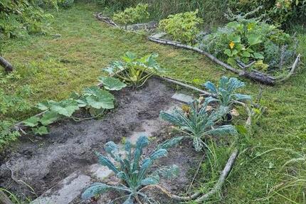 Grundstück Rostock Hansaviertel - 150&euro; | Angebot:25424502