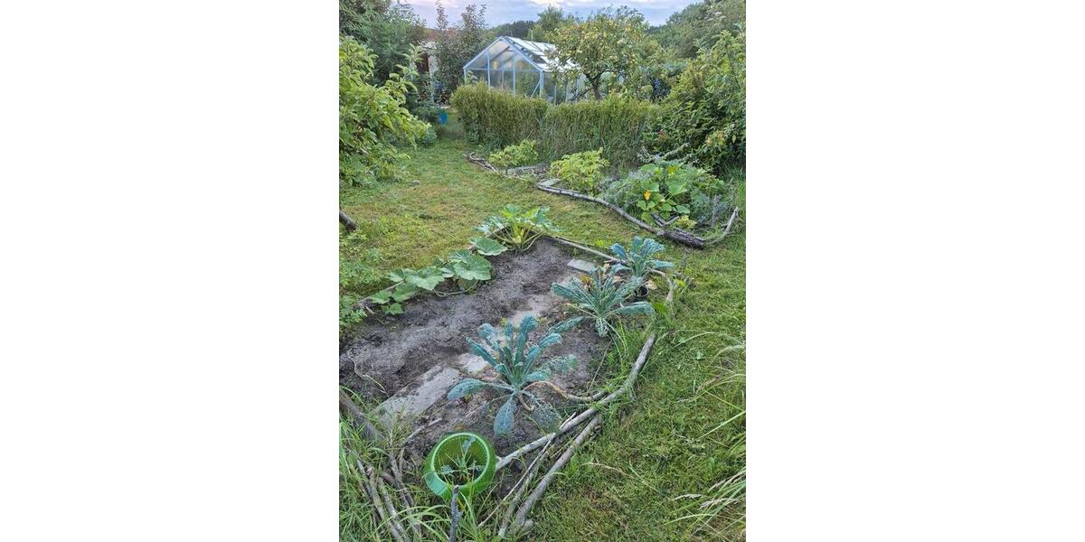 Grundstück Rostock Hansaviertel - 150&euro; | Angebot:25424502