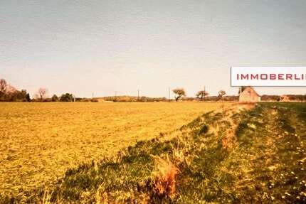 Grundstück Marlow - 25.000&euro; | Angebot:26014364