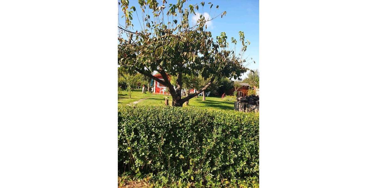 Grundstück Rostock Gehlsdorf - 2.000&euro; | Angebot:26566633